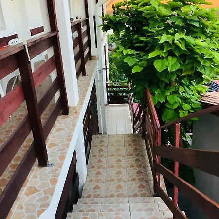 בית הארחה Casa Andrei קוסטינסטי