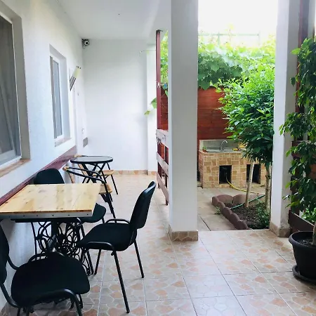 Casa Andrei בית הארחה קוסטינסטי